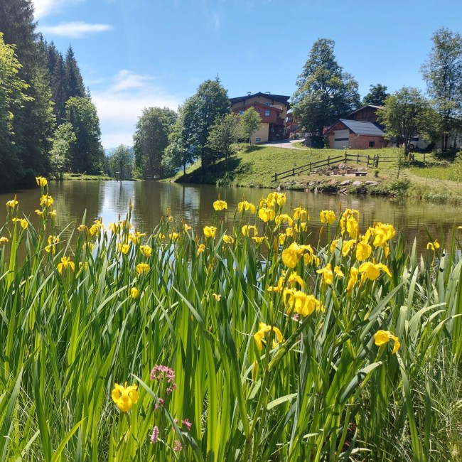 Contact & Find Us, Ferienbauernhof Halmgut, Eben Im Pongau